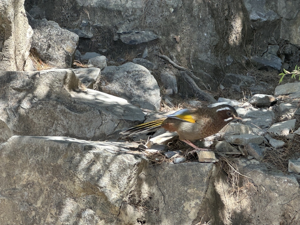 IMG_6465.JPG IMG_6465.JPG