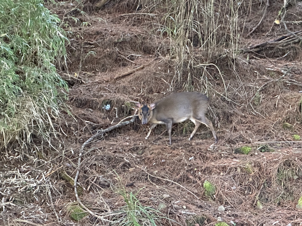 IMG_6408.JPG IMG_6408.JPG