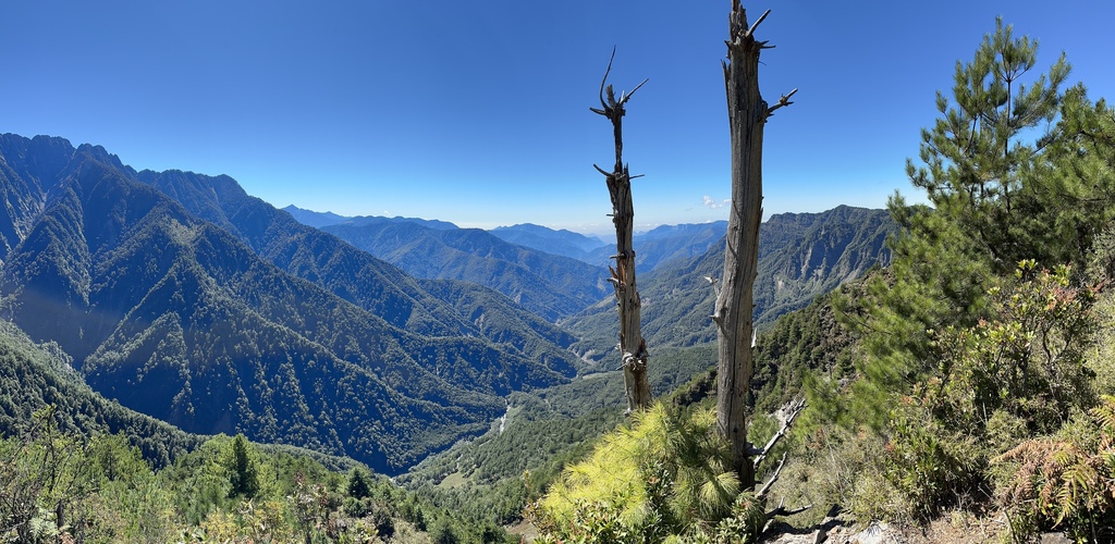 IMG_6471.JPG IMG_6471.JPG