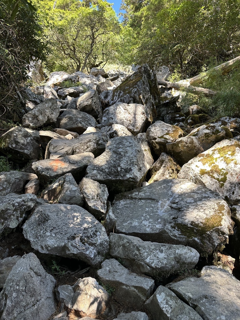 IMG_6487.JPG IMG_6487.JPG