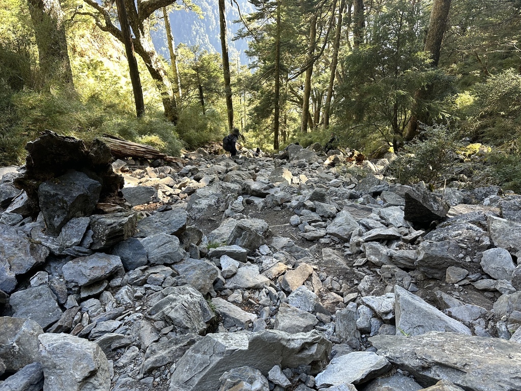 IMG_6553.JPG IMG_6553.JPG