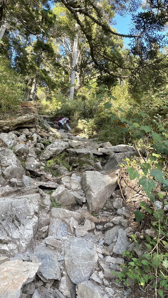 IMG_3012.JPG IMG_3012.JPG