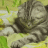 倒.GIF 倒.GIF