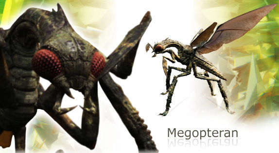 Megopte.jpg Megopte.jpg