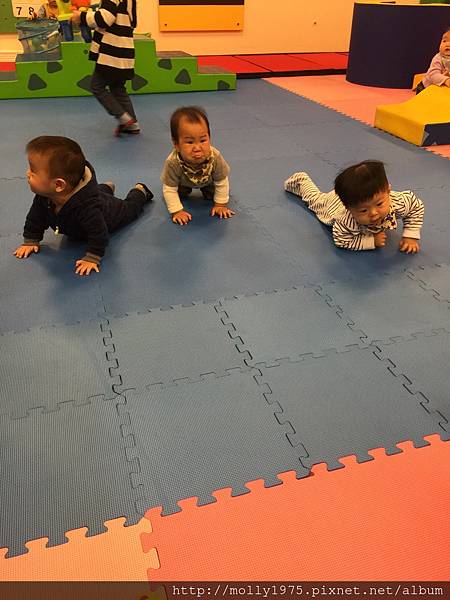 IMG_3284.JPG IMG_3284.JPG