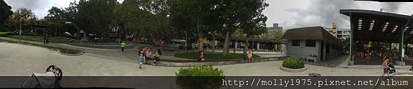 IMG_4031.JPG IMG_4031.JPG