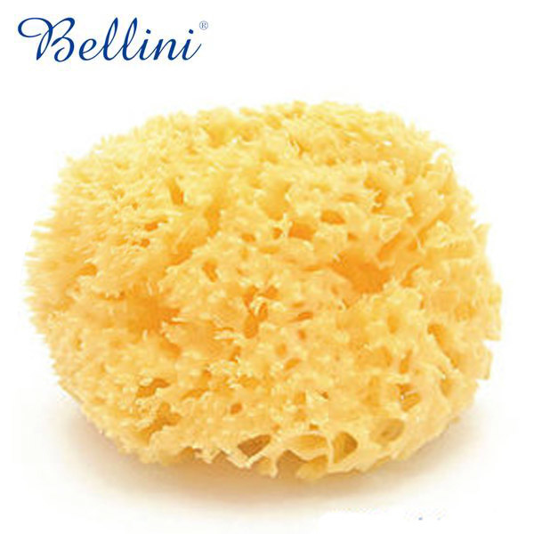 Bellini 蜂窩海綿.jpg