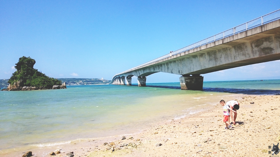 C360_2015-08-05-13-43-53-137