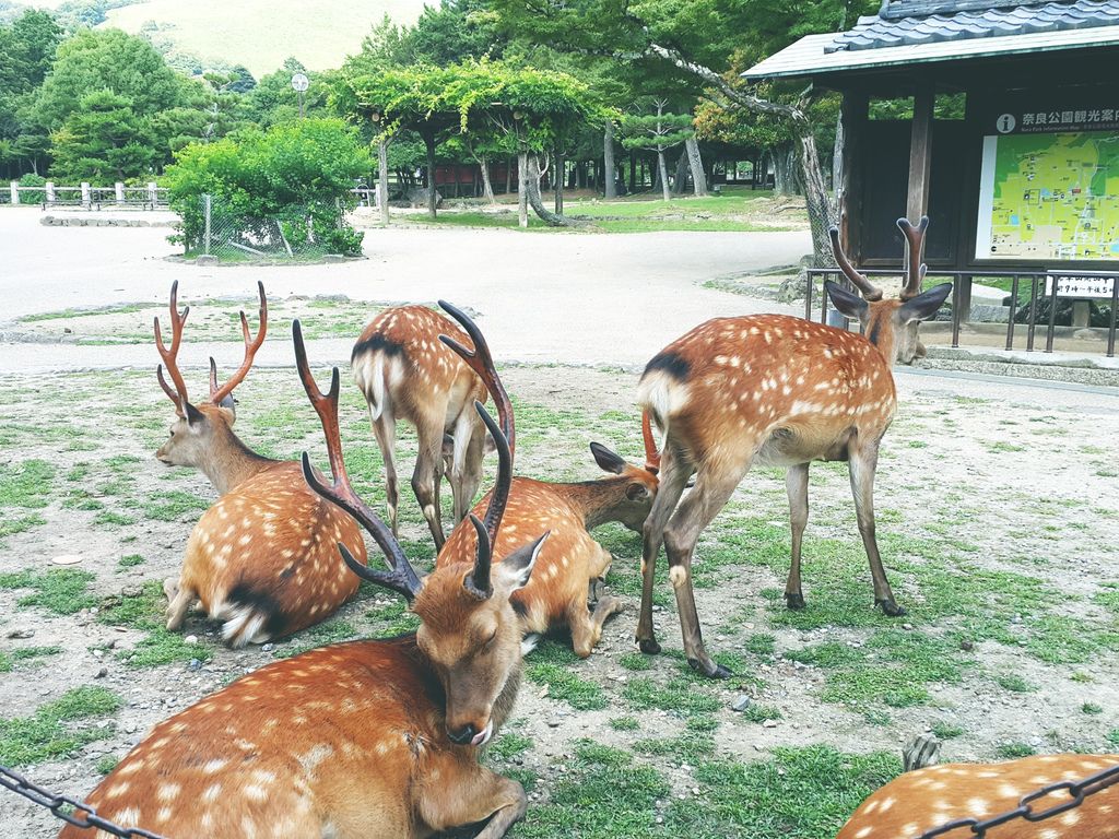 C360_2016-07-18-14-58-13-843