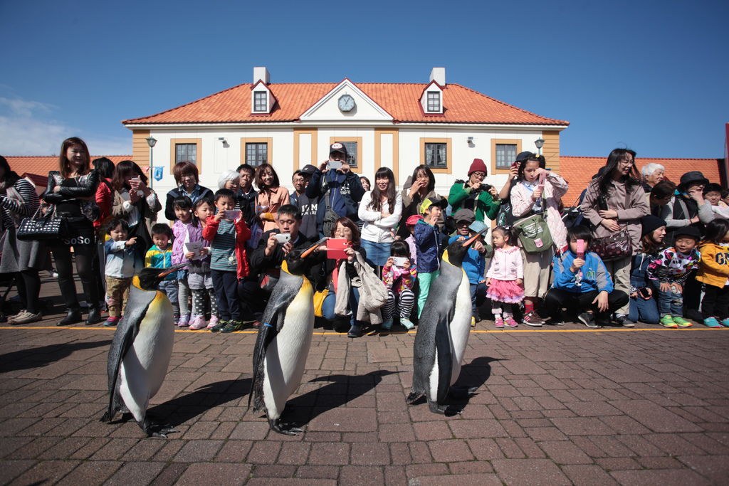北海道跟團5天4夜尼克斯海洋公園 函館路面電車 IMG_8141.JPG