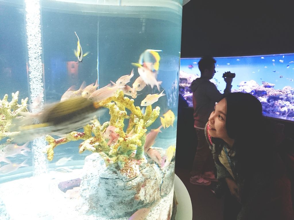 北海道跟團5天4夜尼克斯海洋公園 函館路面電車 C360_2015-10-03-08-46-06-331.jpg