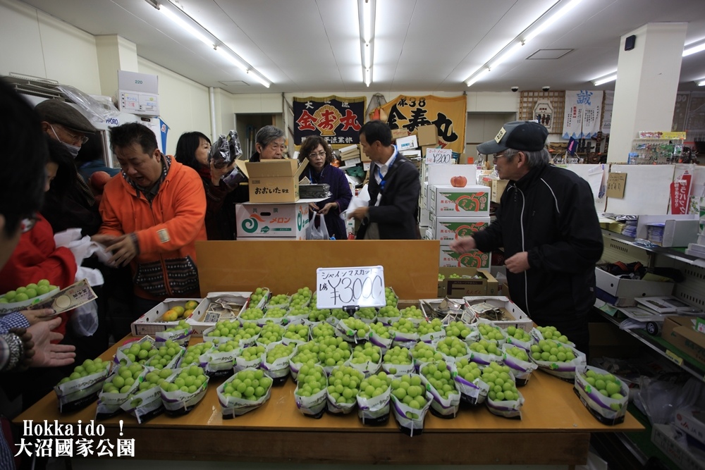 北海道旅行大沼國家公園、小沼湖 北海道旅行大沼國家公園、小沼湖