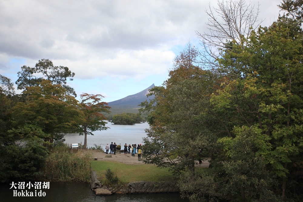 北海道旅行大沼國家公園、小沼湖