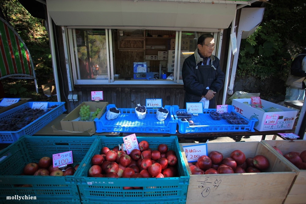 IMG_8781.JPG IMG_8781.JPG