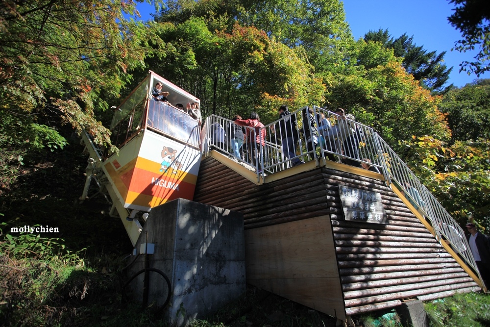 IMG_8793.JPG IMG_8793.JPG