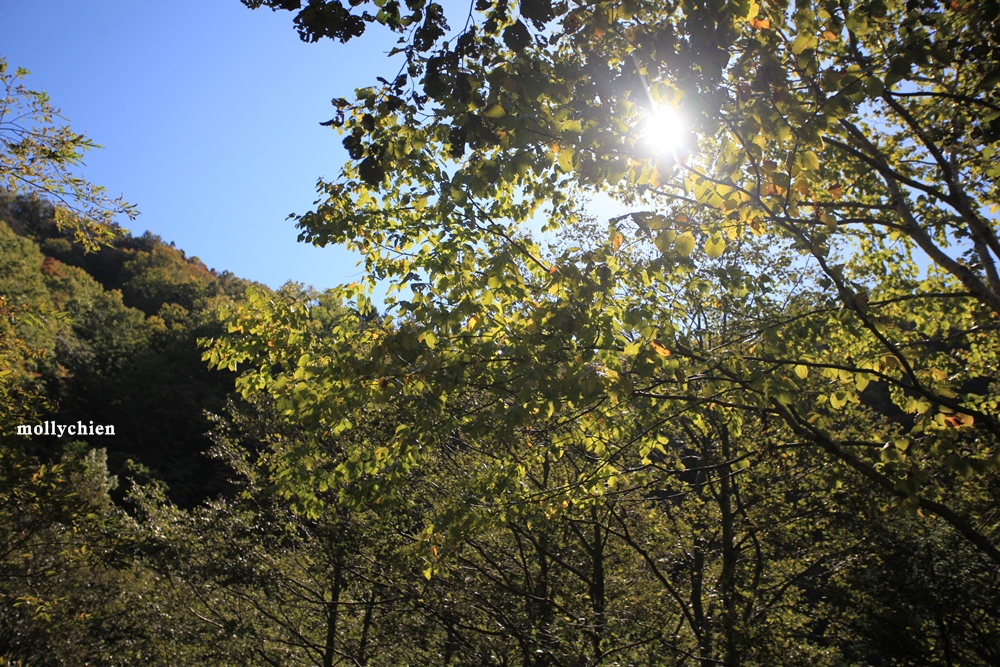 IMG_8874.JPG IMG_8874.JPG