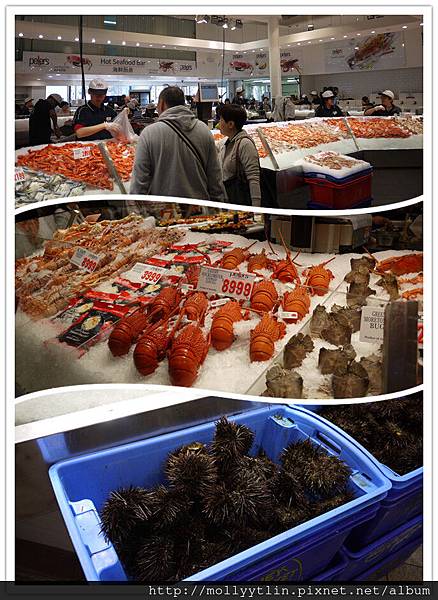 P1210997_副本.jpg P1210997_副本.jpg