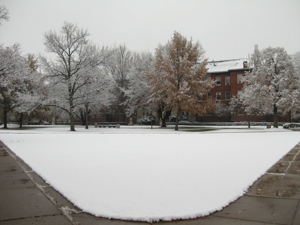 除了雪還是雪