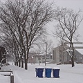 默默承受風雪的垃圾桶