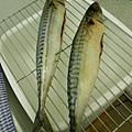 兩大條新鮮鯖魚
