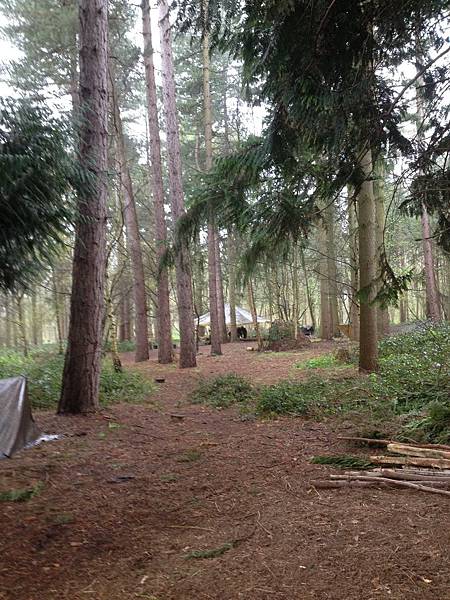 IMG_6105.JPG IMG_6105.JPG