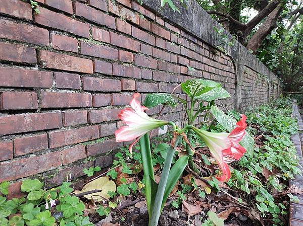 345072801_985450439118236_6671737083985773051_n.jpg 345072801_985450439118236_6671737083985773051_n.jpg