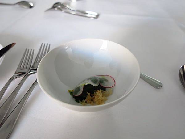 IMG_1980 IMG_1980