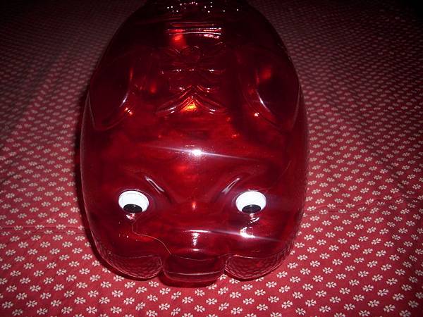 2009.01.25_Piggy Bank_0003.JPG