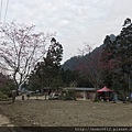 170210-0212 No.44青杉嶴_170213_0016.jpg