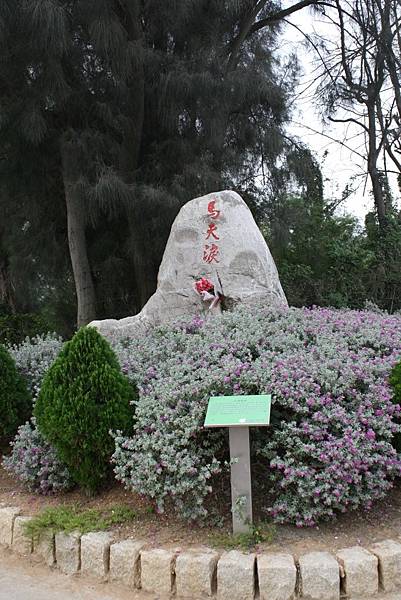 馬夫淚.JPG