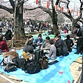 第一個賞櫻點...上野公園