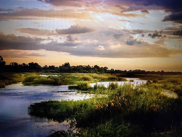 入冬之後的最冷寒流來襲