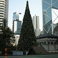 在文華酒店的窗外看聖誕樹 (2).JPG