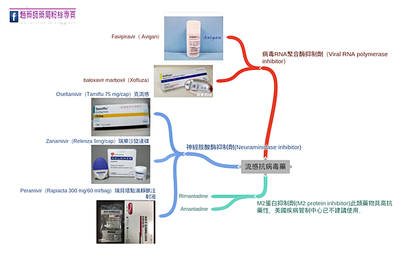 一張圖搞懂抗流感病毒藥 趙藥師藥局的部落格 痞客邦