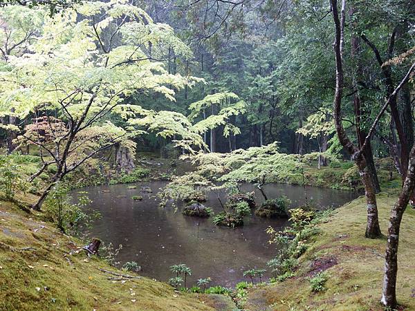 苔寺 (13).JPG