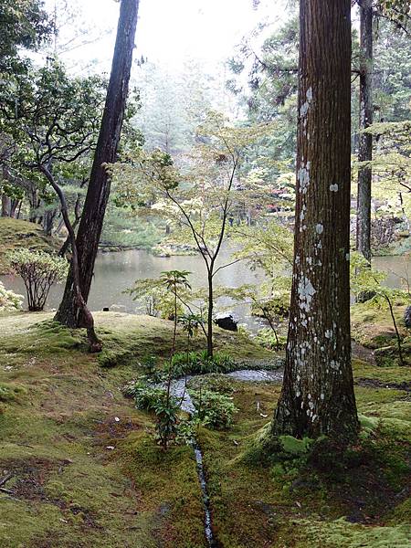 苔寺 (21).JPG