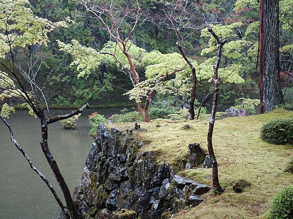 苔寺 (35).JPG