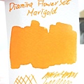 Marigold(FLOWER)