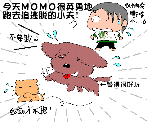 MOMO追小夫