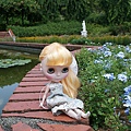 DSC01259_大小 .JPG