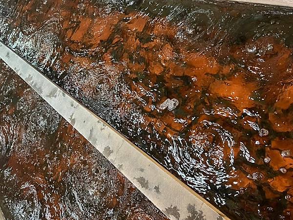 新竹聚餐尾牙-黃金海岸活蝦之家 新竹聚餐尾牙-黃金海岸活蝦之家