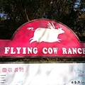 FLyinG CoW