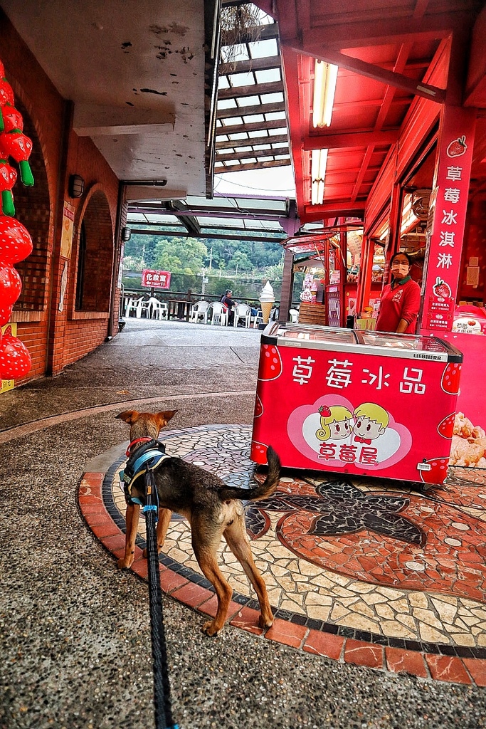 大湖酒莊