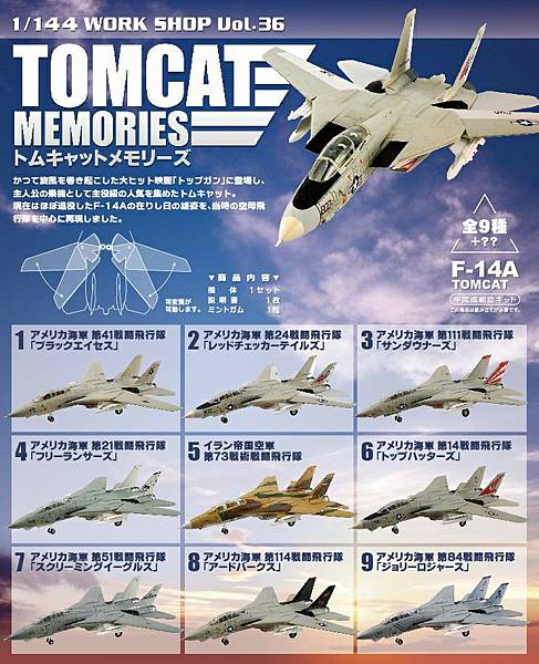 F-toys F-14熊貓 1/144