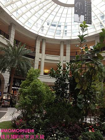 IMG_7086 IMG_7086