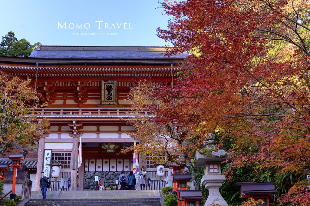 日本京阪叡山電車沿線紅葉 八瀨瑠璃光院x 東福寺x 叡山電車紅葉隧道點燈x 鞍馬寺 Momo姐 私旅行 痞客邦