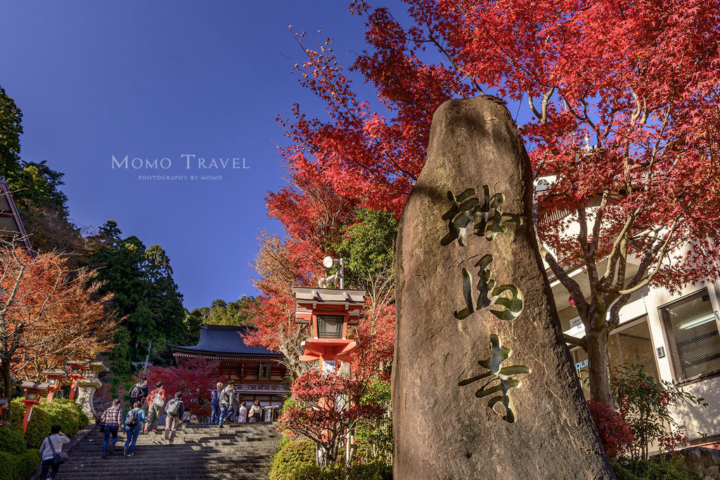 日本京阪叡山電車沿線紅葉 八瀨瑠璃光院x 東福寺x 叡山電車紅葉隧道點燈x 鞍馬寺 Momo姐 私旅行 痞客邦