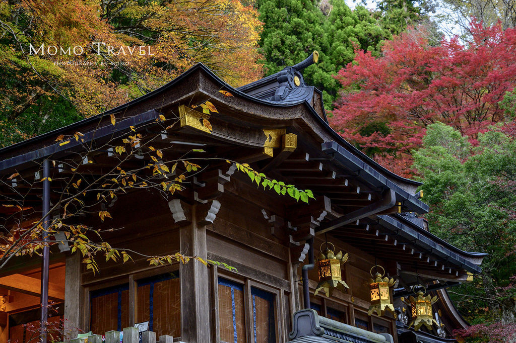 日本京阪叡山電車沿線紅葉 八瀨瑠璃光院x 東福寺x 叡山電車紅葉隧道點燈x 鞍馬寺 Momo姐 私旅行 痞客邦