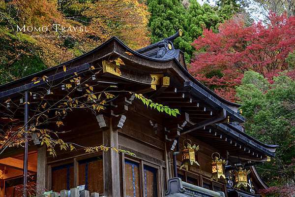 日本京阪叡山電車沿線紅葉 八瀨瑠璃光院x 東福寺x 叡山電車紅葉隧道點燈x 鞍馬寺 Momo姐 私旅行 痞客邦 日本京阪叡山電車沿線紅葉 八瀨瑠璃光院x 東福寺x 叡山電車紅葉隧道點燈x 鞍馬寺 Momo姐 私旅行 痞客邦