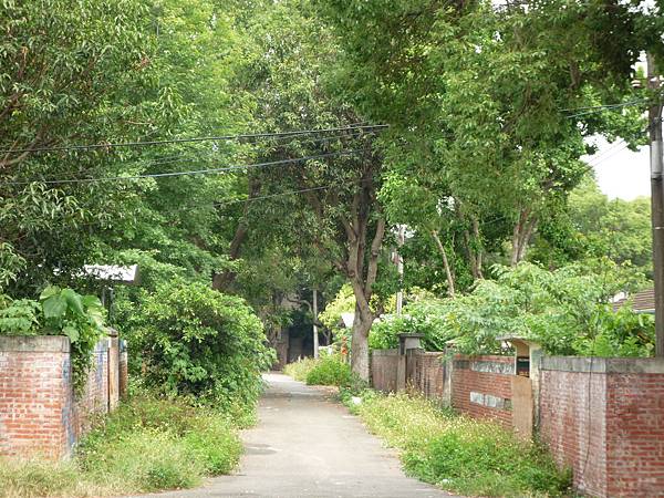 圖4_光復新村荒蕪多年，等待重生_臺灣花園城市發展協會提供.JPG